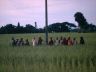 image/_rice_pickers.jpg, 2.1K